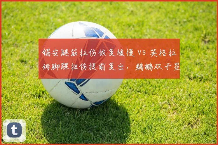 锡安腿筋拉伤恢复缓慢 vs 英格拉姆脚踝扭伤提前复出，鹈鹕双子星康复节奏迥异
